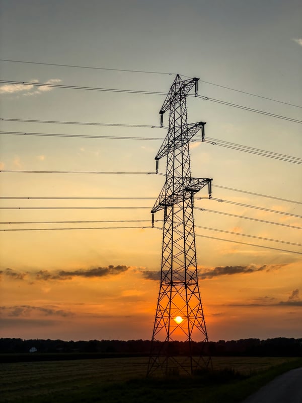 Protecting the Backbone of Society with Resilience and Risk Mitigation